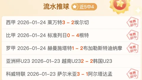 萊切足球俱乐部概述