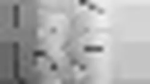 拜仁与奥格斯堡惊险赢球，榜首仅差2分失手